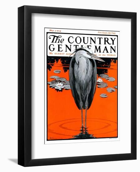 "Crane and Lilly Pads," Country Gentleman Cover, May 3, 1924-Paul Bransom-Framed Giclee Print