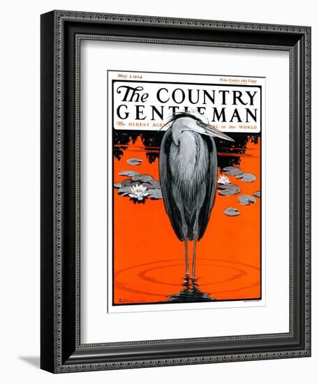 "Crane and Lilly Pads," Country Gentleman Cover, May 3, 1924-Paul Bransom-Framed Giclee Print