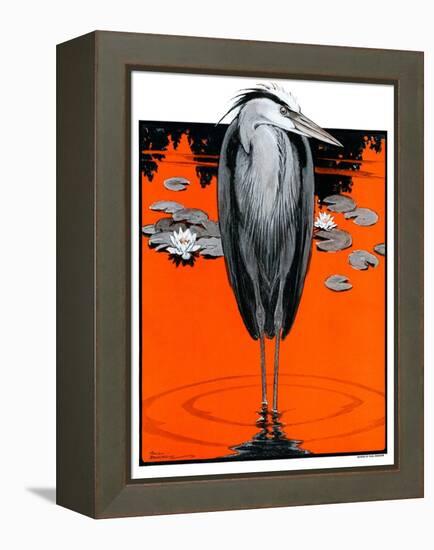 "Crane and Lilly Pads,"May 3, 1924-Paul Bransom-Framed Premier Image Canvas