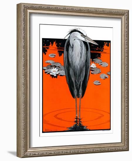 "Crane and Lilly Pads,"May 3, 1924-Paul Bransom-Framed Giclee Print