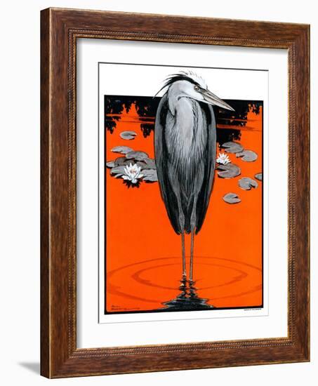 "Crane and Lilly Pads,"May 3, 1924-Paul Bransom-Framed Giclee Print