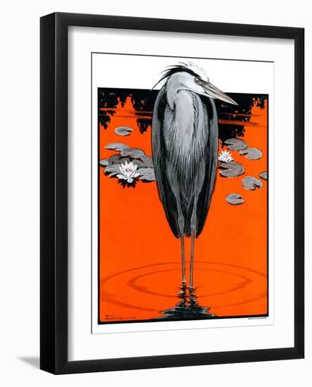 "Crane and Lilly Pads,"May 3, 1924-Paul Bransom-Framed Giclee Print