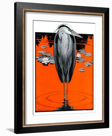 "Crane and Lilly Pads,"May 3, 1924-Paul Bransom-Framed Giclee Print