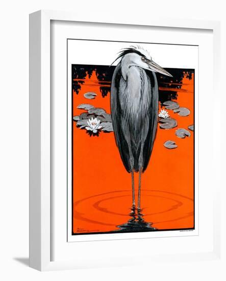 "Crane and Lilly Pads,"May 3, 1924-Paul Bransom-Framed Giclee Print