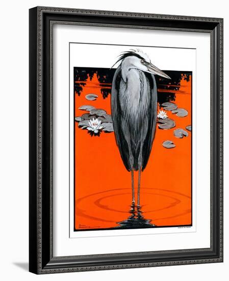 "Crane and Lilly Pads,"May 3, 1924-Paul Bransom-Framed Giclee Print