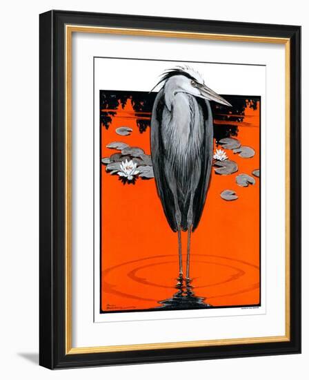 "Crane and Lilly Pads,"May 3, 1924-Paul Bransom-Framed Giclee Print