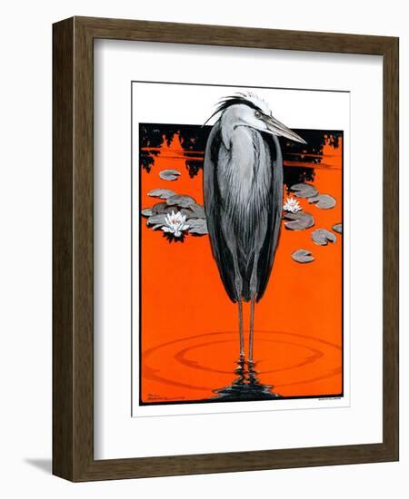 "Crane and Lilly Pads,"May 3, 1924-Paul Bransom-Framed Giclee Print