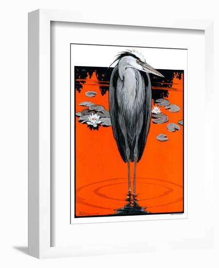 "Crane and Lilly Pads,"May 3, 1924-Paul Bransom-Framed Giclee Print