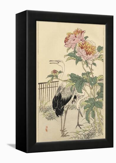 Crane and Peony-Bairei-Framed Stretched Canvas