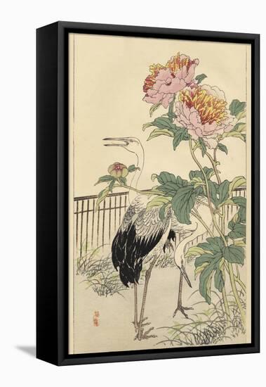 Crane and Peony-Bairei-Framed Stretched Canvas