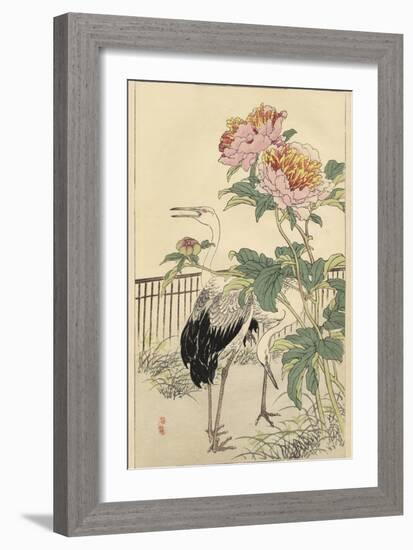 Crane and Peony-Bairei-Framed Art Print