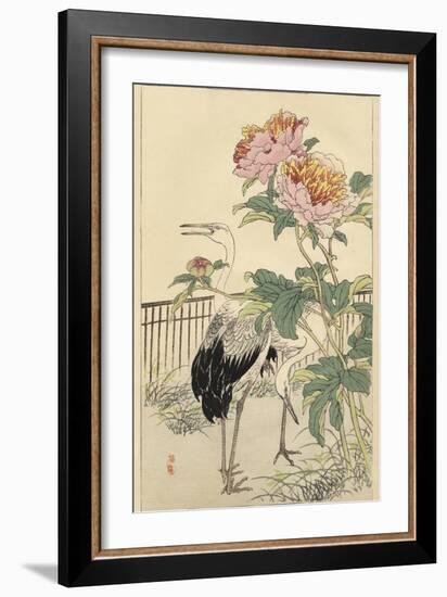 Crane and Peony-Bairei-Framed Art Print