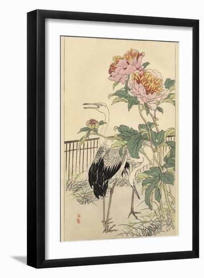 Crane and Peony-Bairei-Framed Art Print