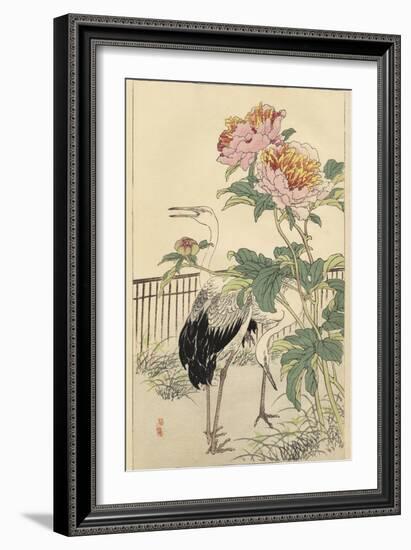 Crane and Peony-Bairei-Framed Art Print