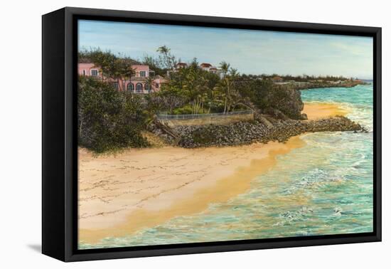 Crane Beach-Victor Collector-Framed Premier Image Canvas