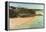 Crane Beach-Victor Collector-Framed Premier Image Canvas