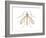 Crane Fly (Tipula Trivittata), Insects-Encyclopaedia Britannica-Framed Art Print