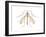 Crane Fly (Tipula Trivittata), Insects-Encyclopaedia Britannica-Framed Art Print