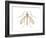 Crane Fly (Tipula Trivittata), Insects-Encyclopaedia Britannica-Framed Art Print