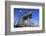 Crane Houses at Rheinau Harbour, Cologne, North Rhine-Westphalia, Germany, Europe-Hans-Peter Merten-Framed Photographic Print