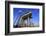 Crane Houses at Rheinau Harbour, Cologne, North Rhine-Westphalia, Germany, Europe-Hans-Peter Merten-Framed Photographic Print