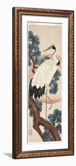 Crane in Pine Tree at Sunrise, 1850-55-Utagawa Hiroshige-Framed Giclee Print