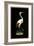 Crane on Black Background-null-Framed Art Print