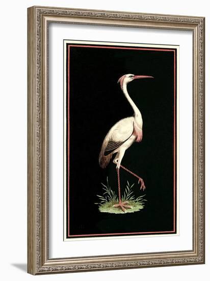 Crane on Black Background-null-Framed Art Print