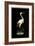 Crane on Black Background-null-Framed Art Print