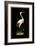 Crane on Black Background-null-Framed Art Print