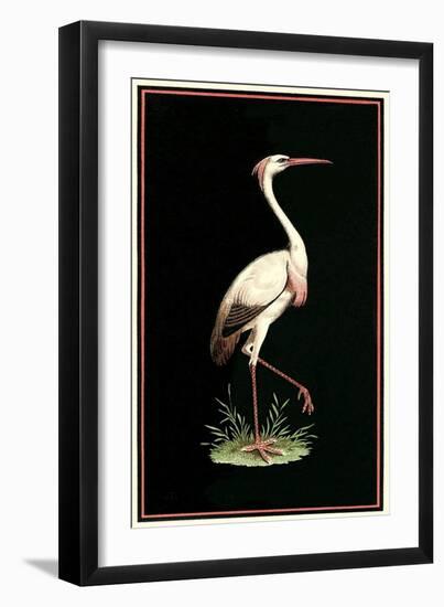 Crane on Black Background-null-Framed Art Print