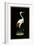 Crane on Black Background-null-Framed Art Print