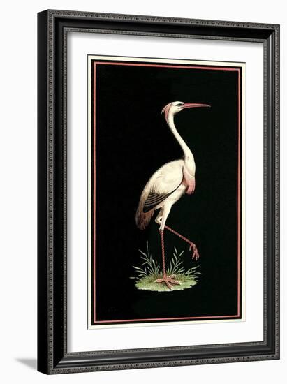 Crane on Black Background-null-Framed Art Print