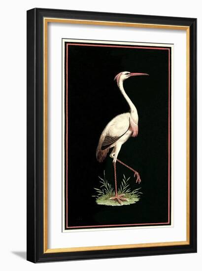 Crane on Black Background-null-Framed Art Print