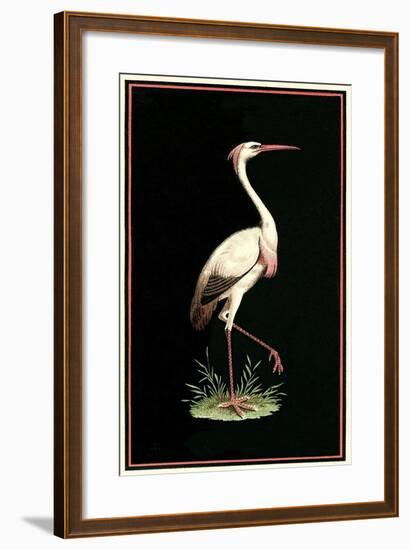 Crane on Black Background-null-Framed Art Print