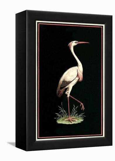 Crane on Black Background-null-Framed Stretched Canvas