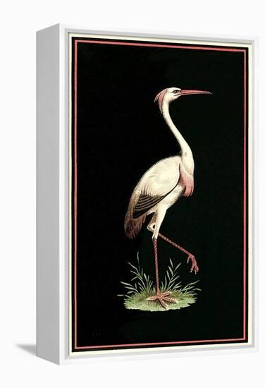 Crane on Black Background-null-Framed Stretched Canvas