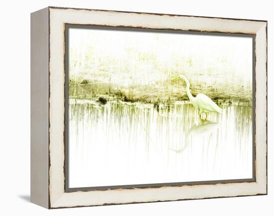 Crane Standing in Shallow Waters-Jan Lakey-Framed Premier Image Canvas