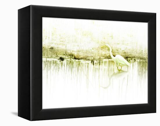 Crane Standing in Shallow Waters-Jan Lakey-Framed Premier Image Canvas