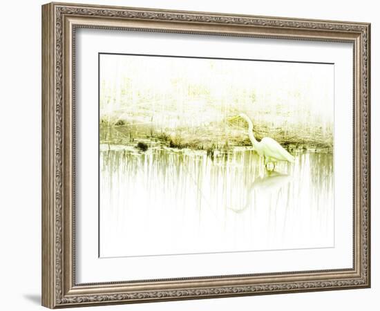 Crane Standing in Shallow Waters-Jan Lakey-Framed Photographic Print