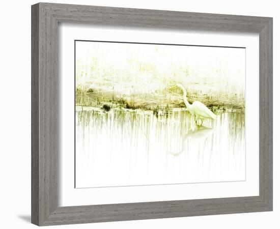 Crane Standing in Shallow Waters-Jan Lakey-Framed Photographic Print