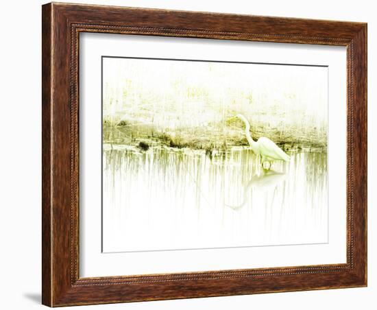 Crane Standing in Shallow Waters-Jan Lakey-Framed Photographic Print