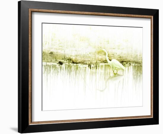 Crane Standing in Shallow Waters-Jan Lakey-Framed Photographic Print