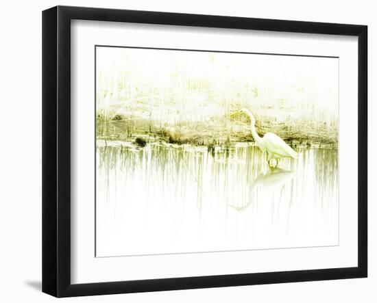 Crane Standing in Shallow Waters-Jan Lakey-Framed Photographic Print