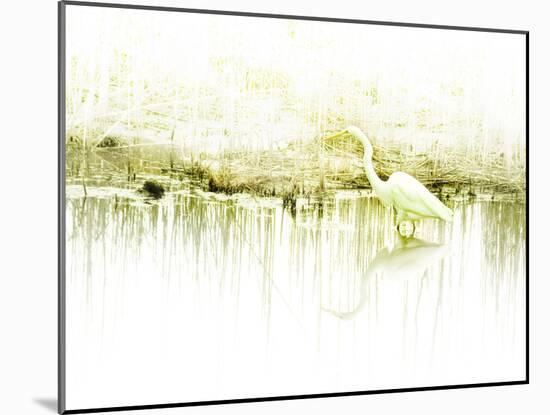 Crane Standing in Shallow Waters-Jan Lakey-Mounted Photographic Print