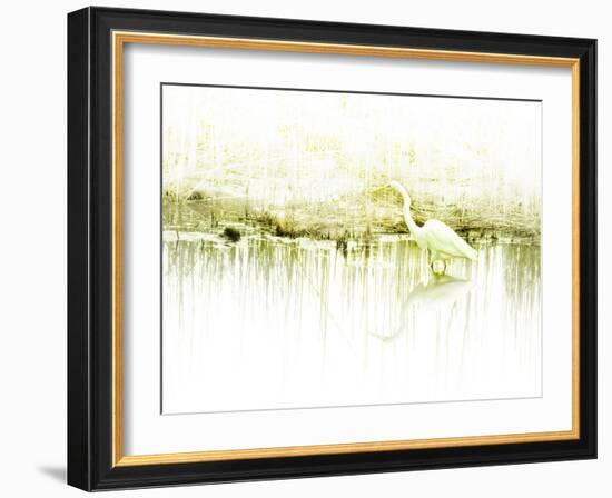 Crane Standing in Shallow Waters-Jan Lakey-Framed Photographic Print