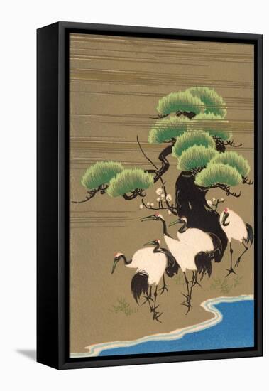 Cranes Along Riverbank-null-Framed Stretched Canvas