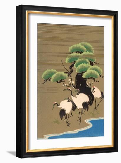 Cranes Along Riverbank-null-Framed Art Print