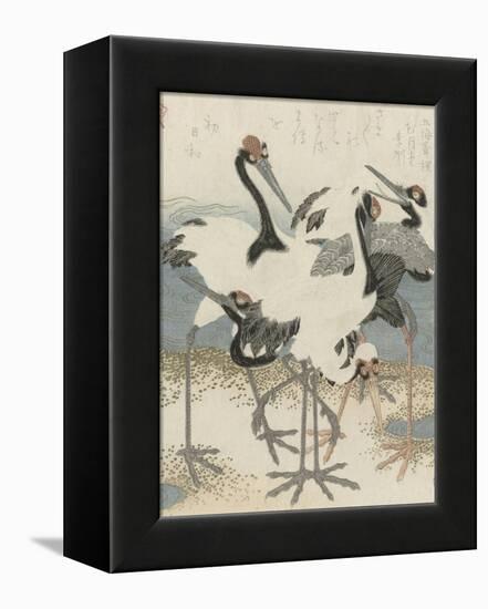 Cranes by the water, c.1816-Kubo Shunman-Framed Premier Image Canvas