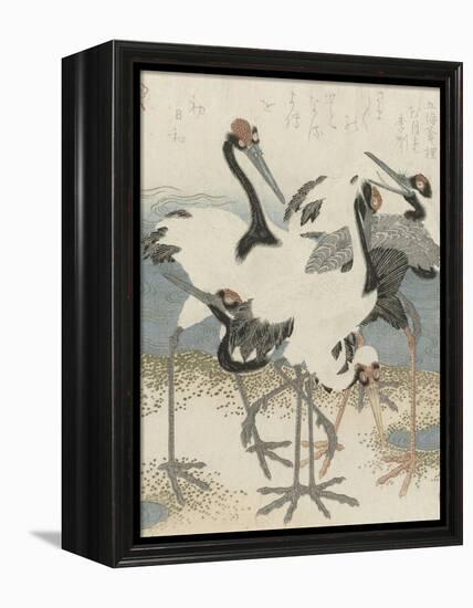 Cranes by the water, c.1816-Kubo Shunman-Framed Premier Image Canvas